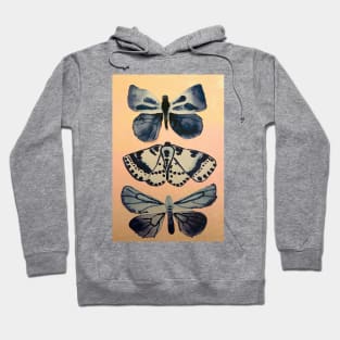 Blue Butterfly Design Hoodie